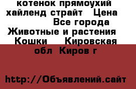 котенок прямоухий  хайленд страйт › Цена ­ 10 000 - Все города Животные и растения » Кошки   . Кировская обл.,Киров г.